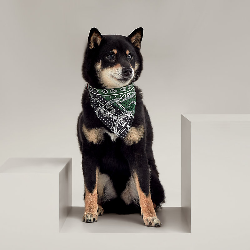 Bandana pour chien Eperon d'Or M | Hermès France